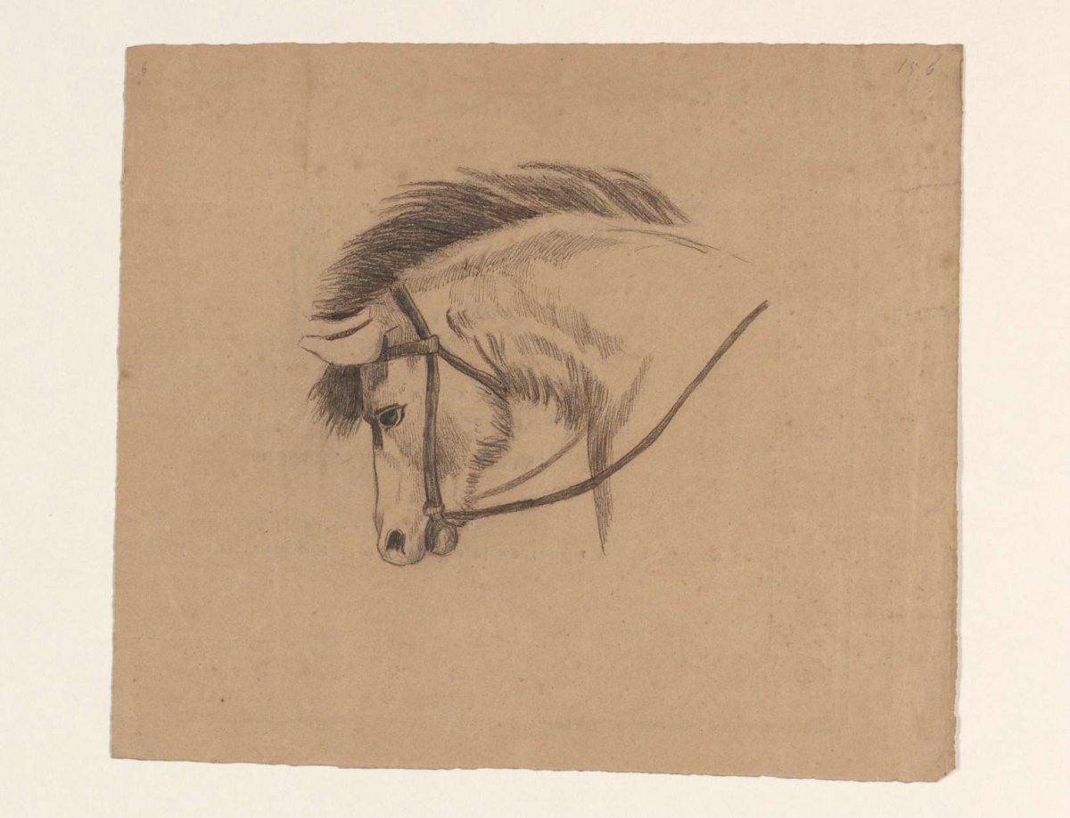 Head of a horse, to the left, Johannes Tavenraat, 1819 - 1881