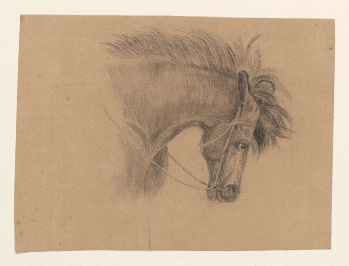 Head of a horse, to the right, Johannes Tavenraat, 1819 - 1881