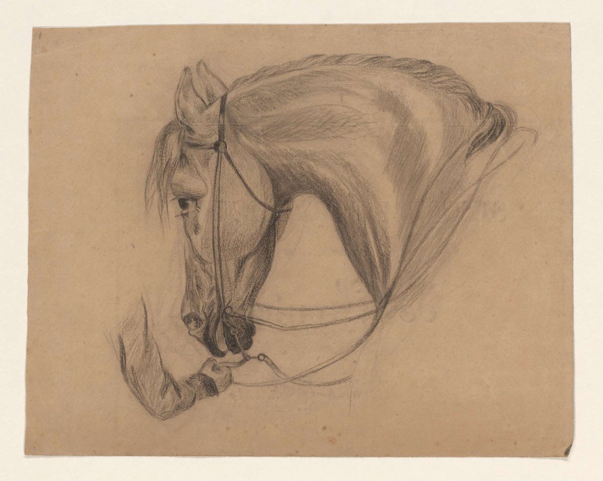 Head of a horse, to the left, Johannes Tavenraat, 1819 - 1881