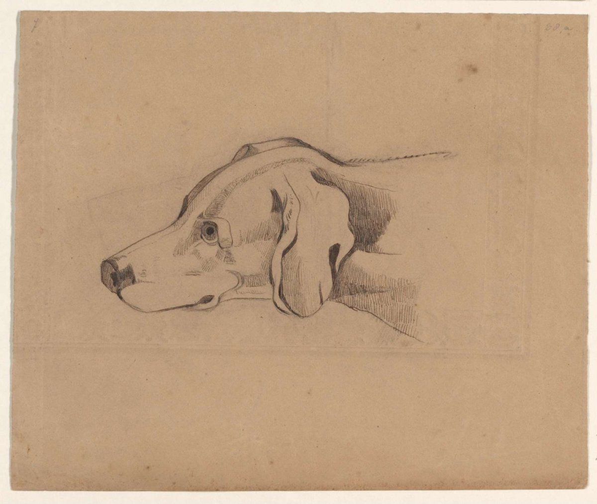 Head of a dog, to the left, Johannes Tavenraat, 1819 - 1881