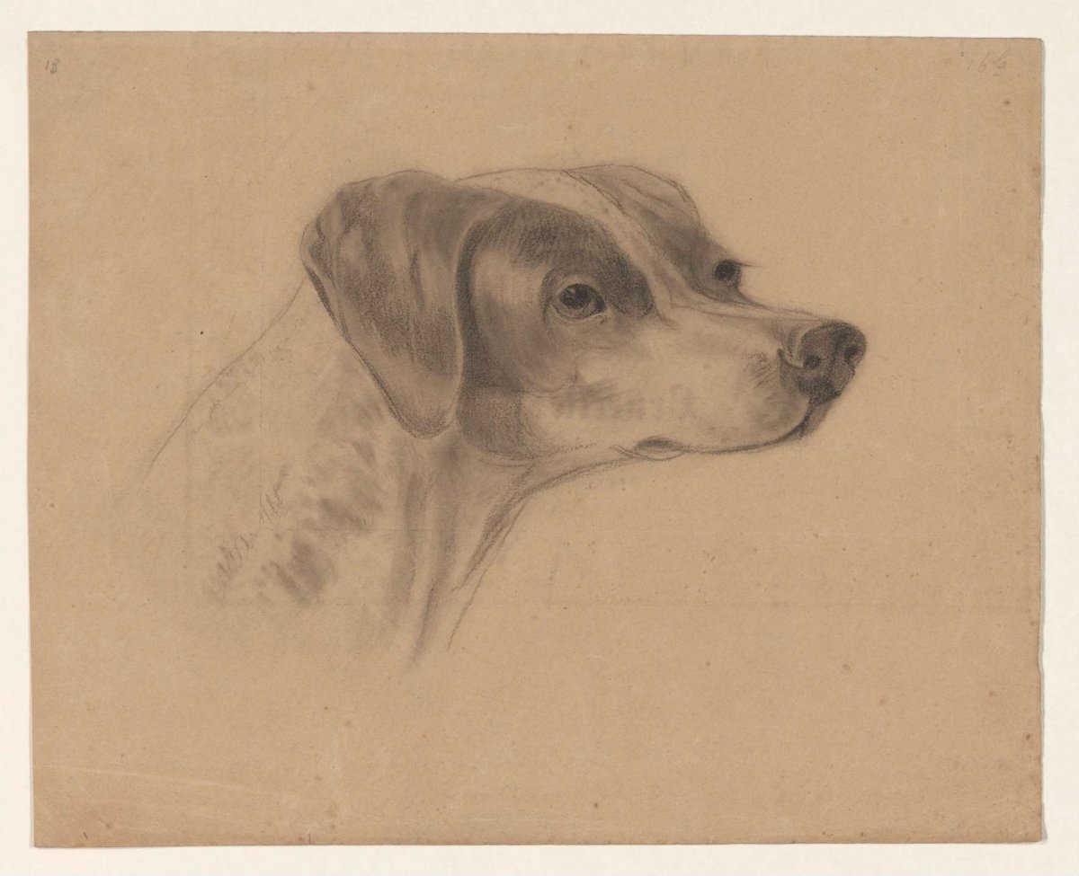 Head of a dog, to the right, Johannes Tavenraat, 1819 - 1881