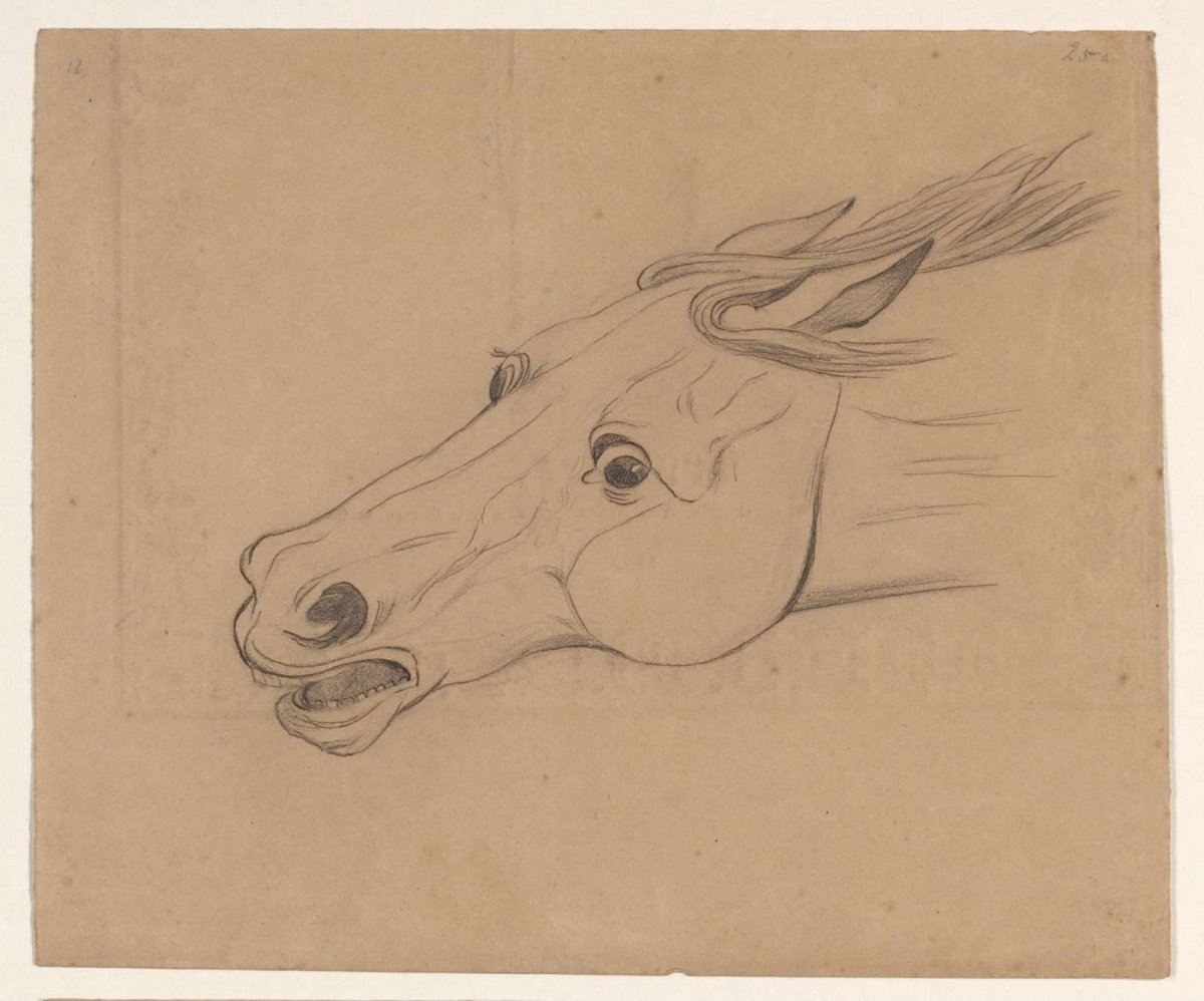 Head of a horse, to the left, Johannes Tavenraat, 1819 - 1881