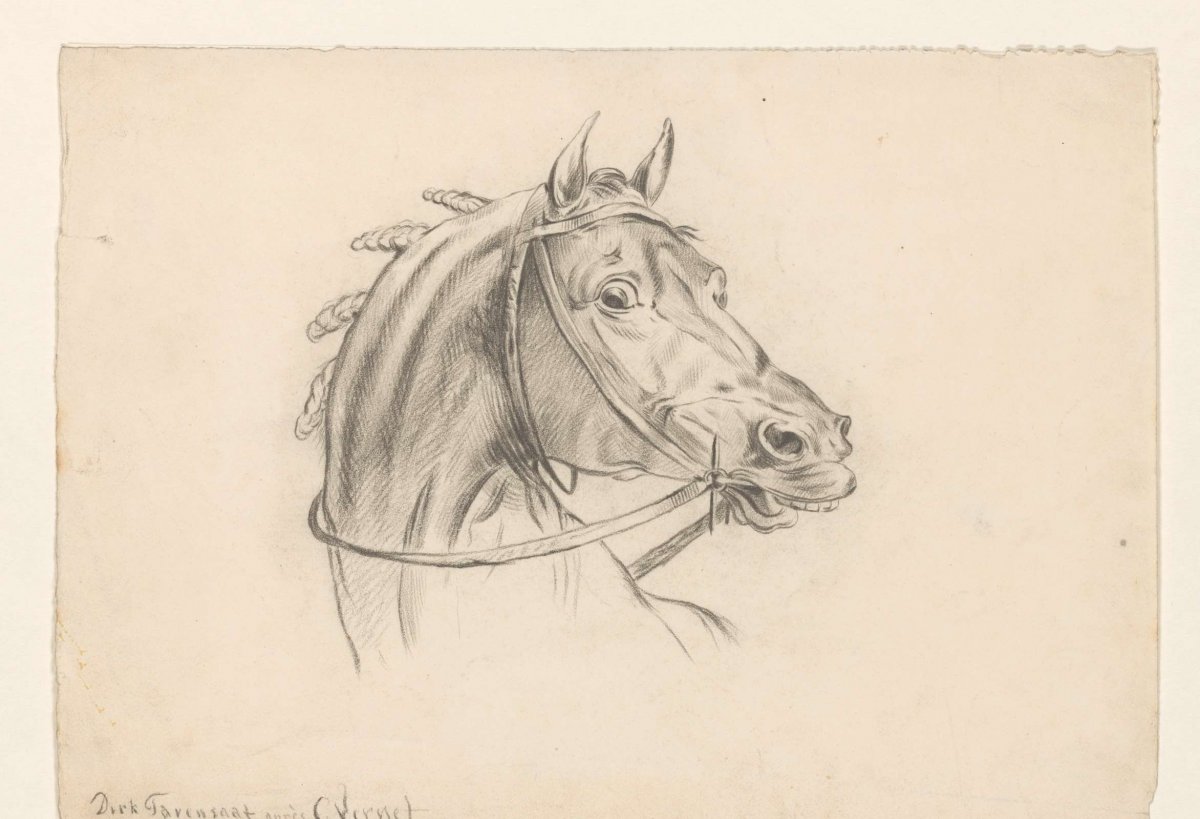 Head of a horse, to the right, Dirk Arnoldus Tavenraat, 1826
