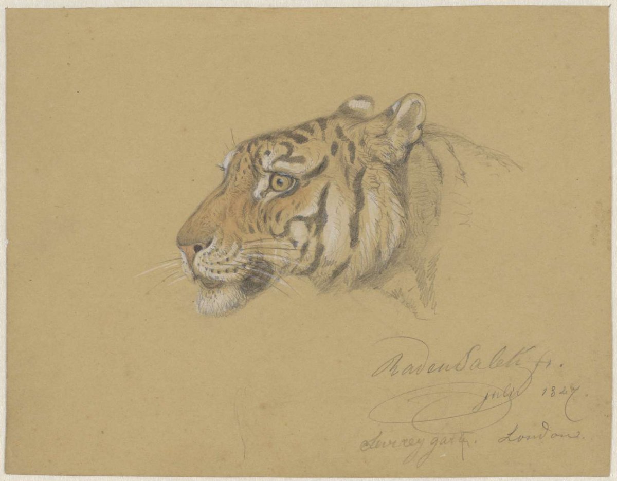 Head of a Tiger, Raden Sarief Bastaman Saleh, 1847