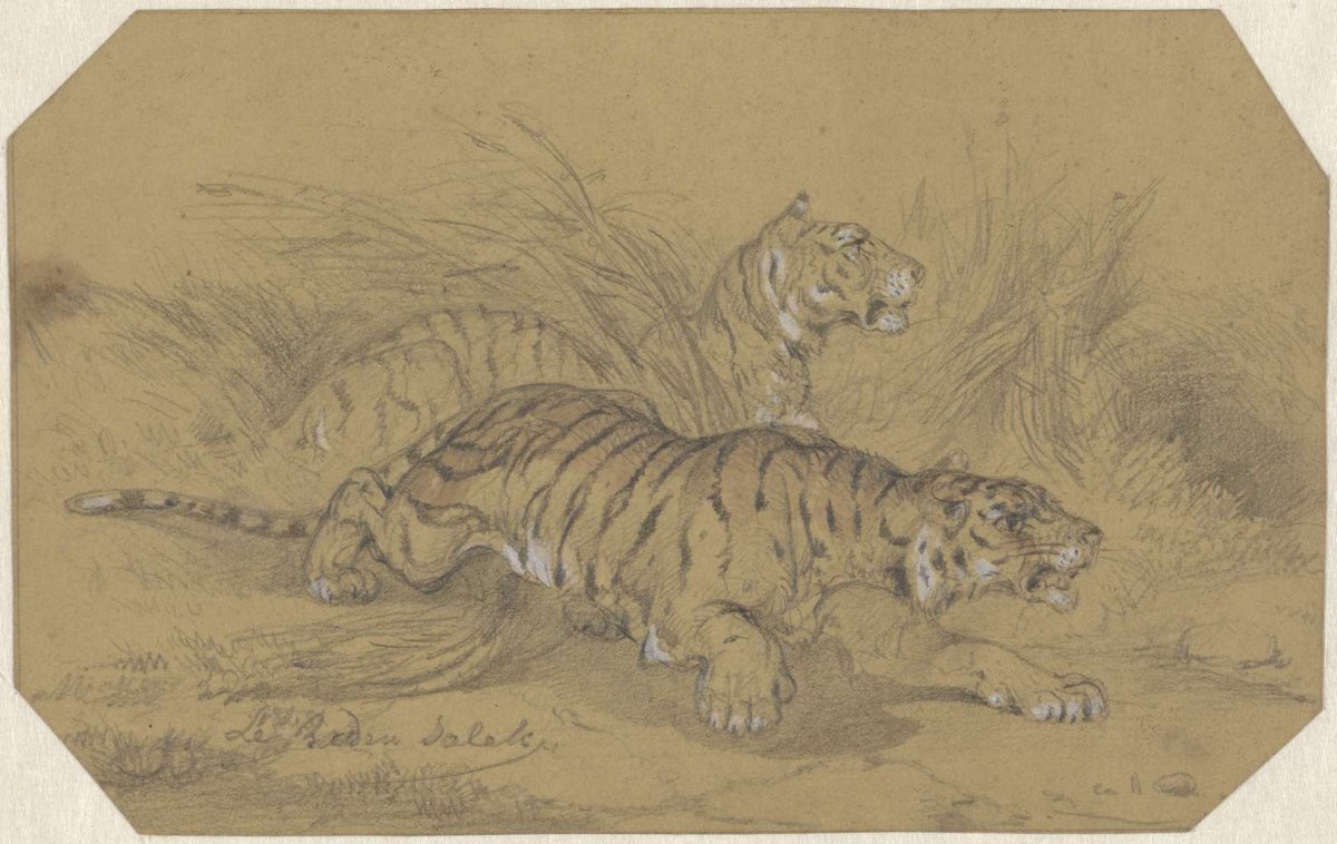 Two tigers prowling through the grass, Raden Sarief Bastaman Saleh, 1824 - 1880