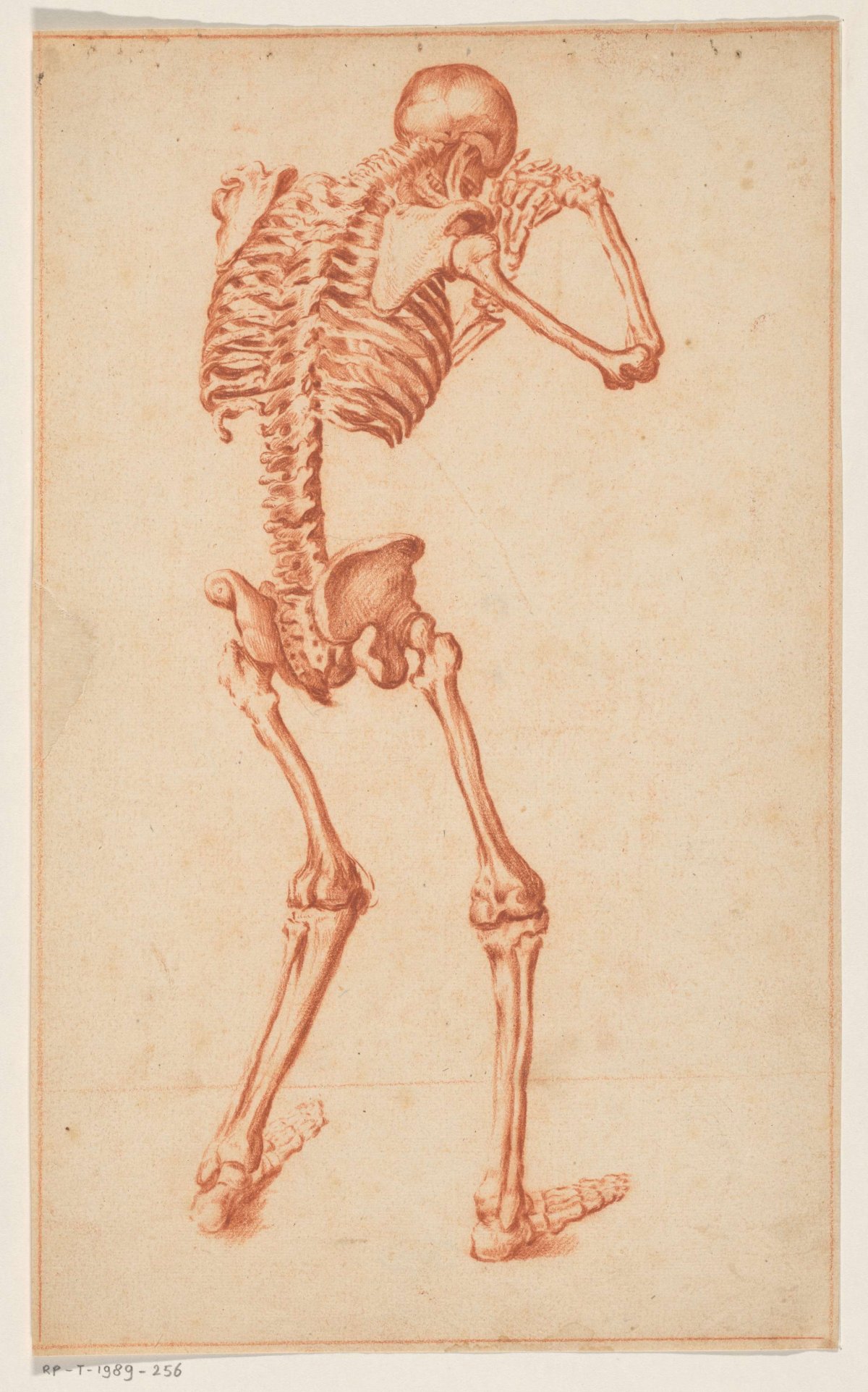 Skelet, anonymous, 1640 - 1649