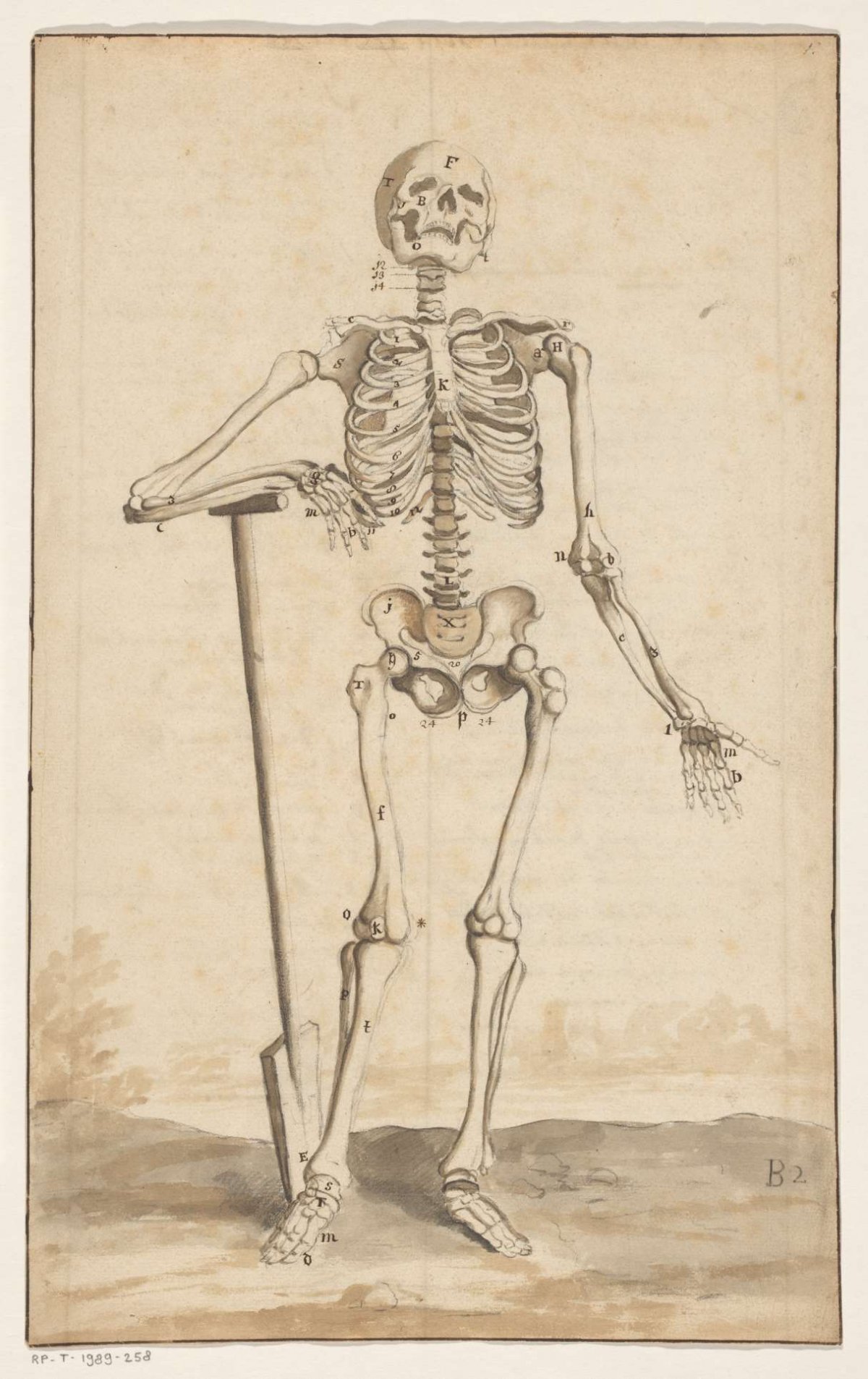 Skelet met spade, anonymous, 1636 - 1649