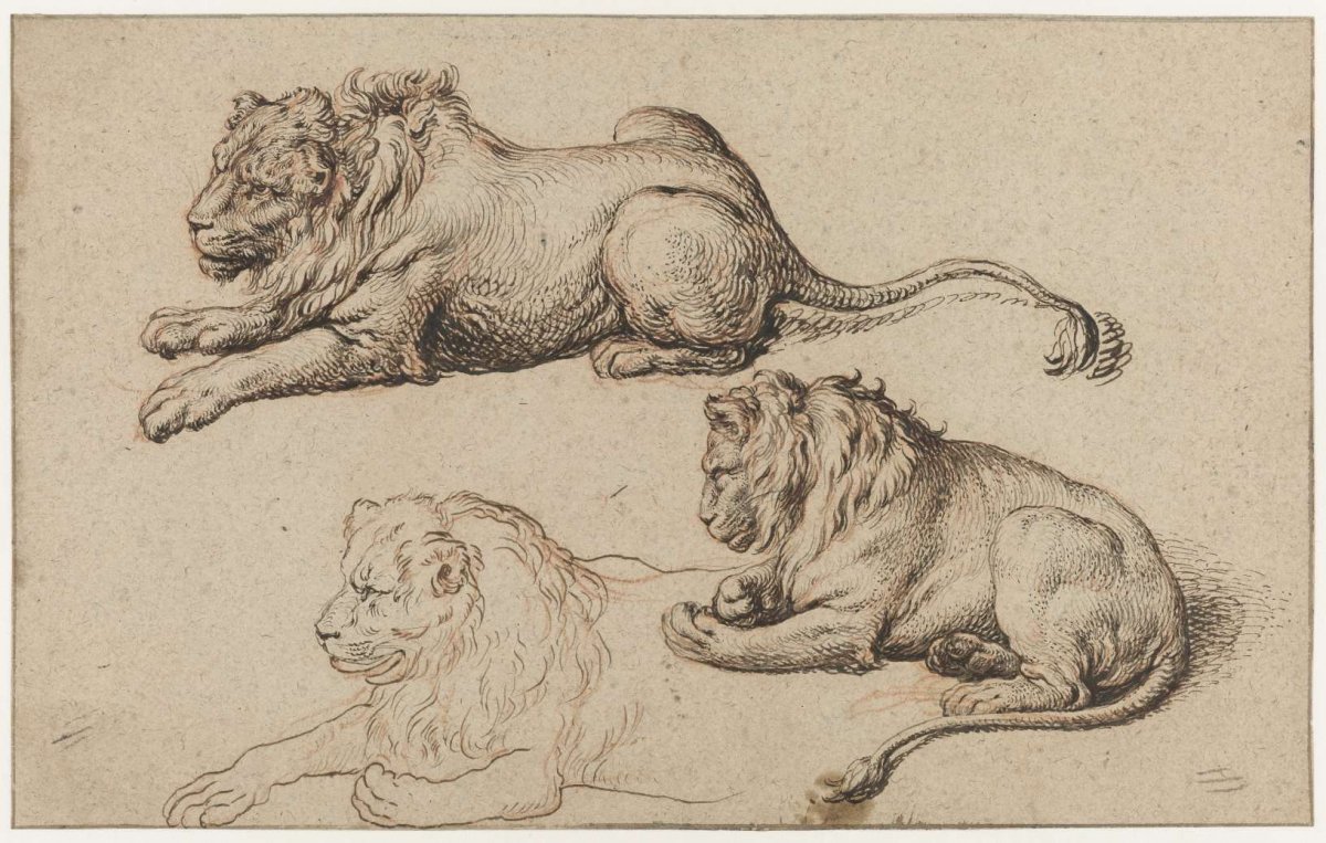 Three Studies of a Recumbant Lion, Jacques de Gheyn (III), c. 1615 - c. 1634