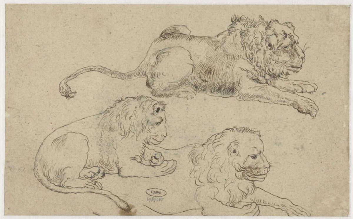 Study Sheet with Three Lions, anonymous, after c. 1615 - before c. 1634