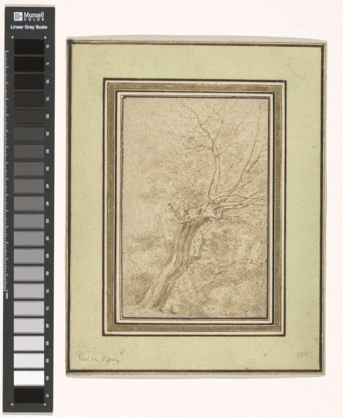 A gnarled tree, anonymous, 1600 - 1699