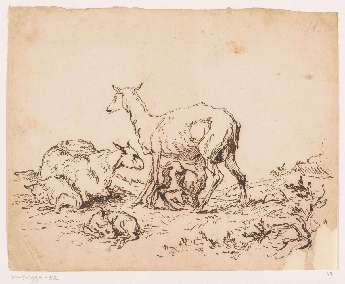 Two sheep and three lambs, Johannes Tavenraat, 1819 - 1881