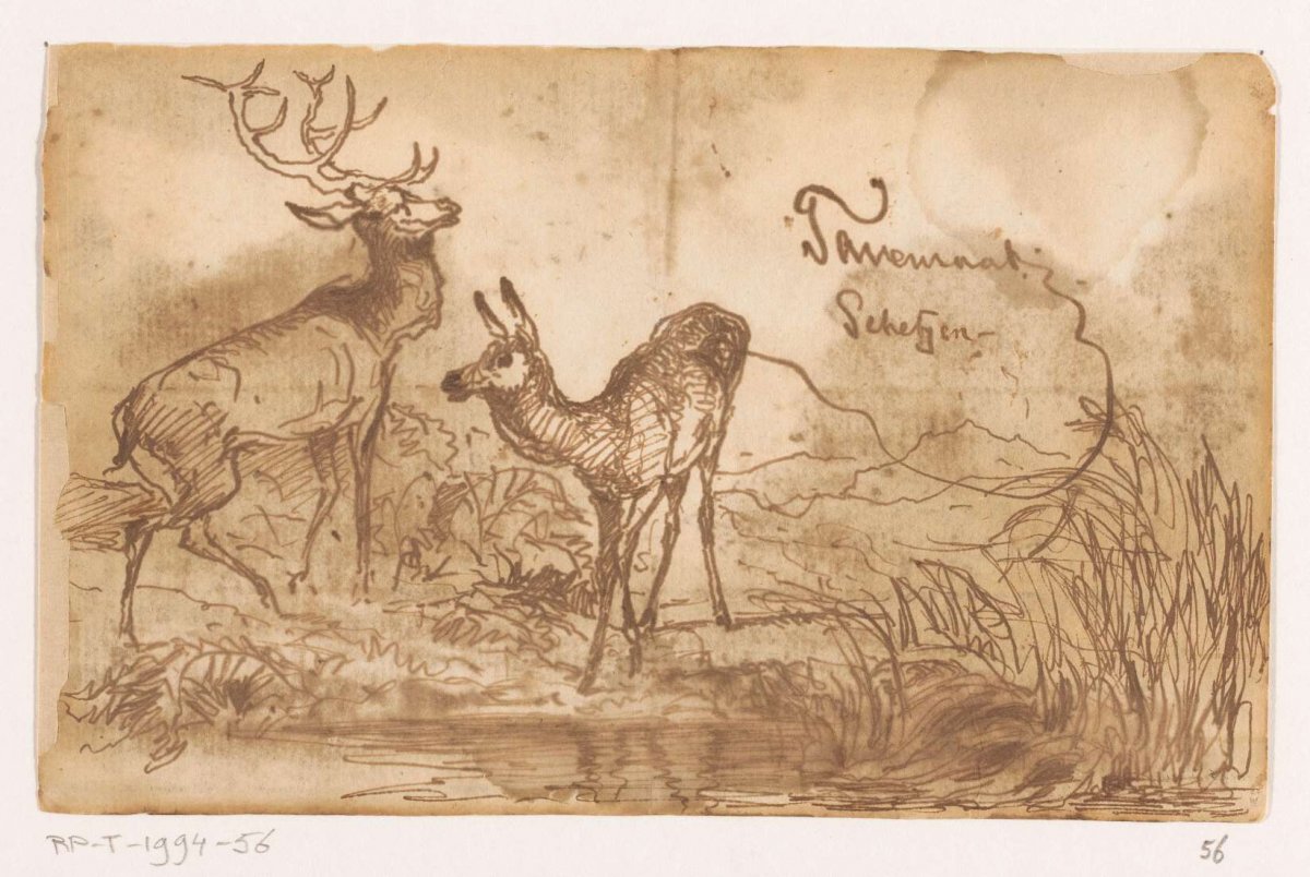 Two deer at a pond, Johannes Tavenraat, 1819 - 1881