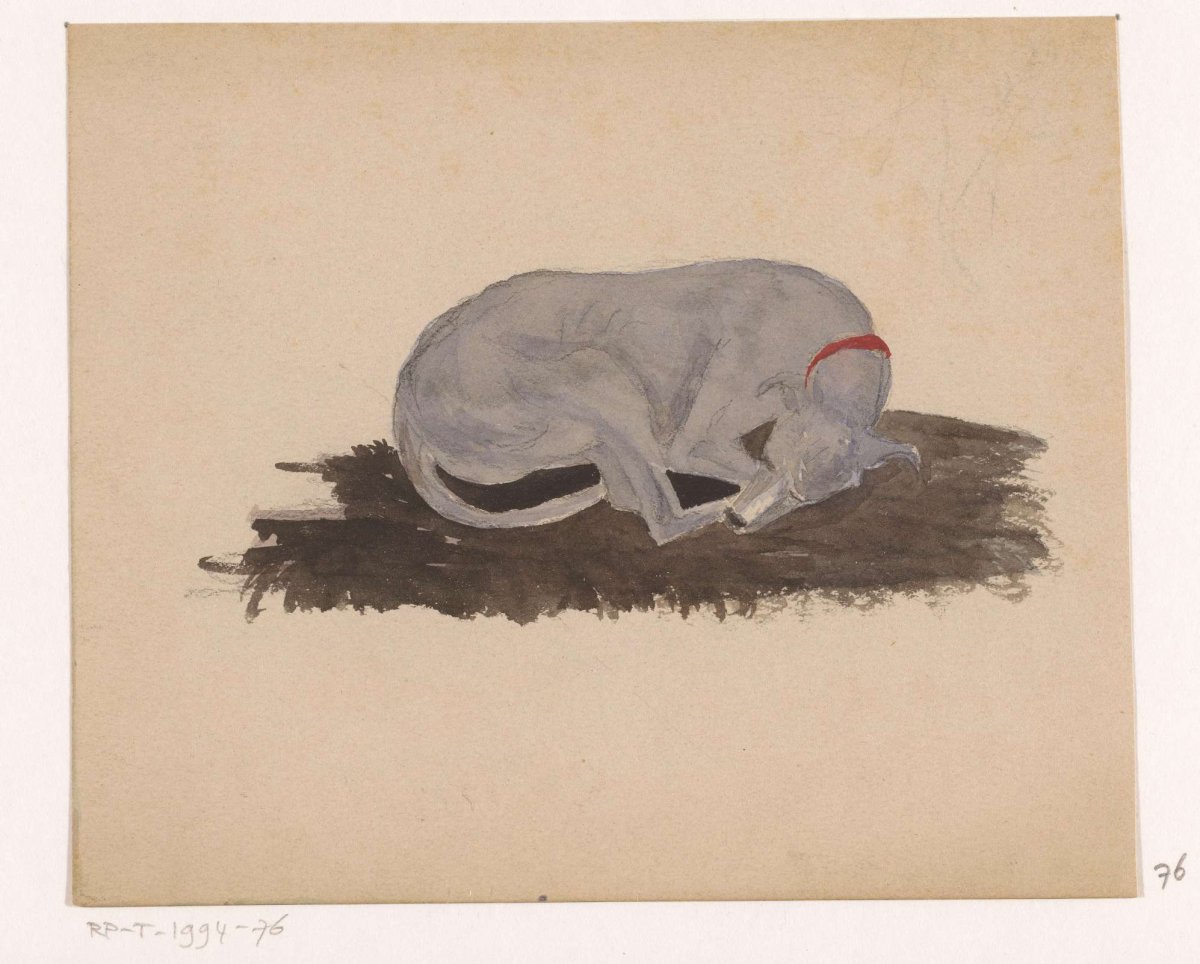 Slapende hond, Johannes Tavenraat, 1819 - 1881