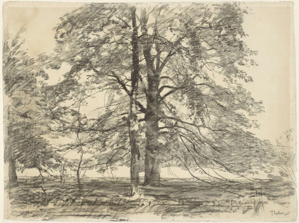 Tall trees in a flat landscape, Willem Bastiaan Tholen, 1870 - 1931