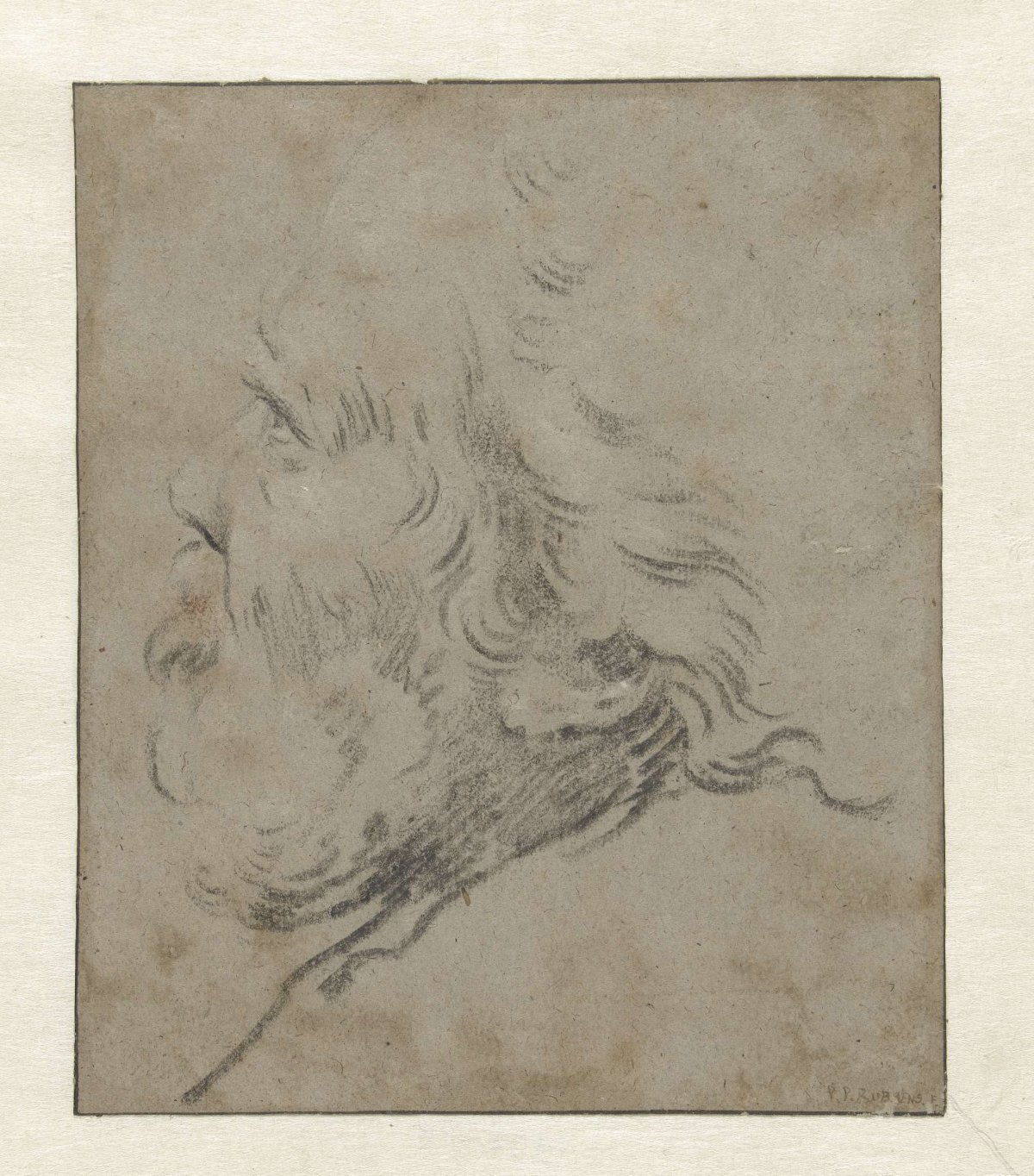 Head of an old man, in profile to the left, Gaspar de Crayer, 1584 - 1669