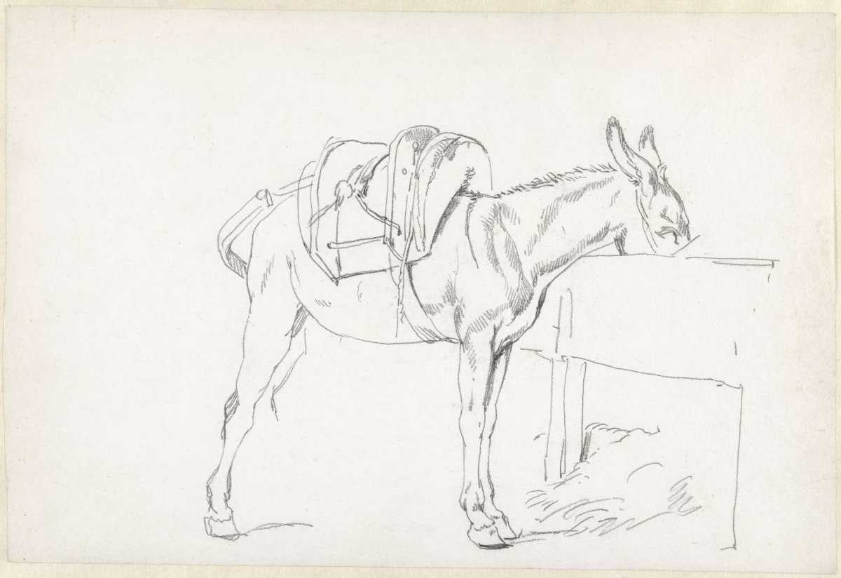 Study of a mule eating from a trough, Hendrik Voogd, 1778 - 1839