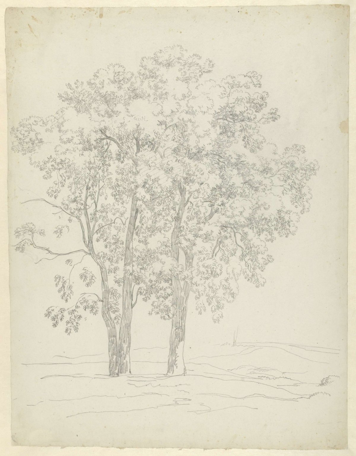 Study of three trees, Hendrik Voogd, 1778 - 1839