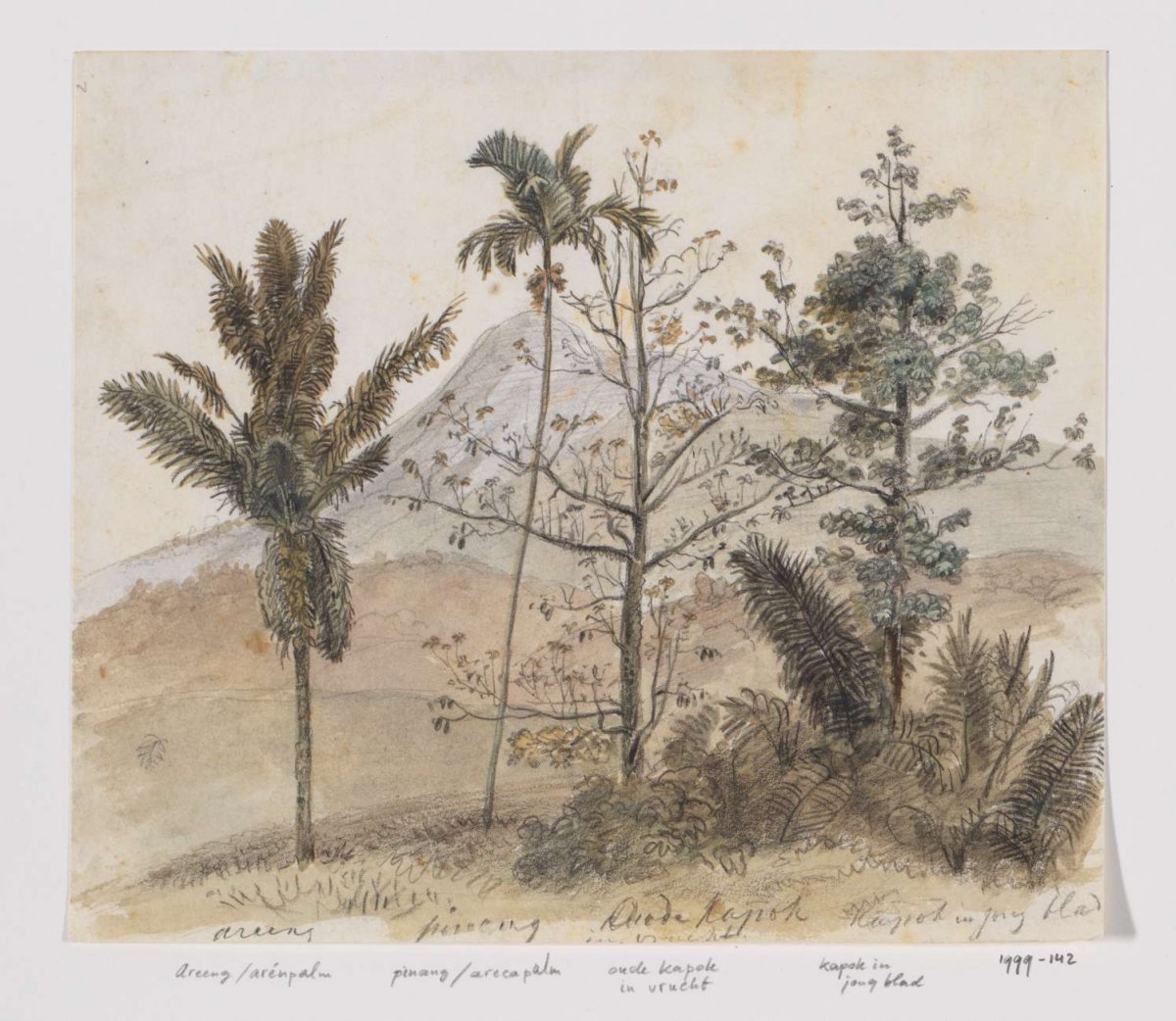 Trees in mountain landscape Java, Adrianus Johannes Bik, c. 1816 - c. 1846