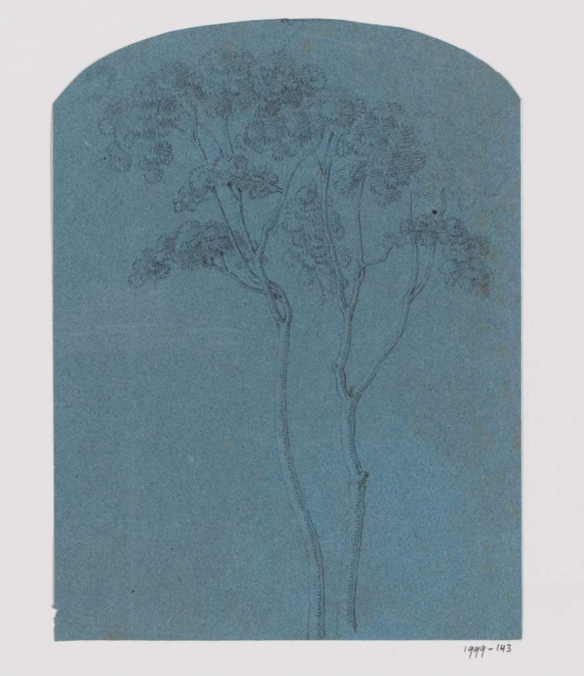 Boom, Adrianus Johannes Bik, c. 1816 - c. 1846