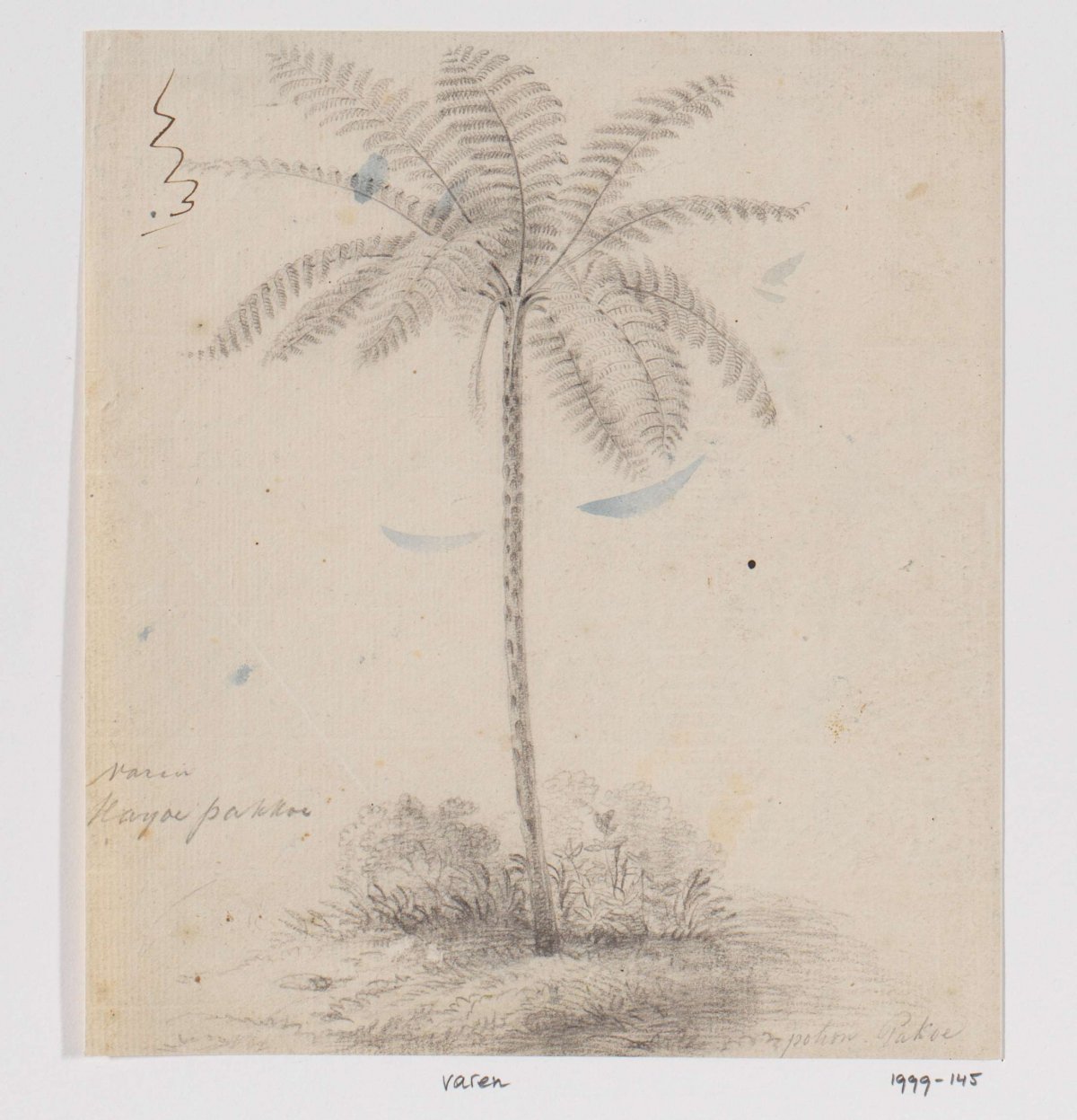 Boomvaren, Adrianus Johannes Bik, c. 1816 - c. 1846