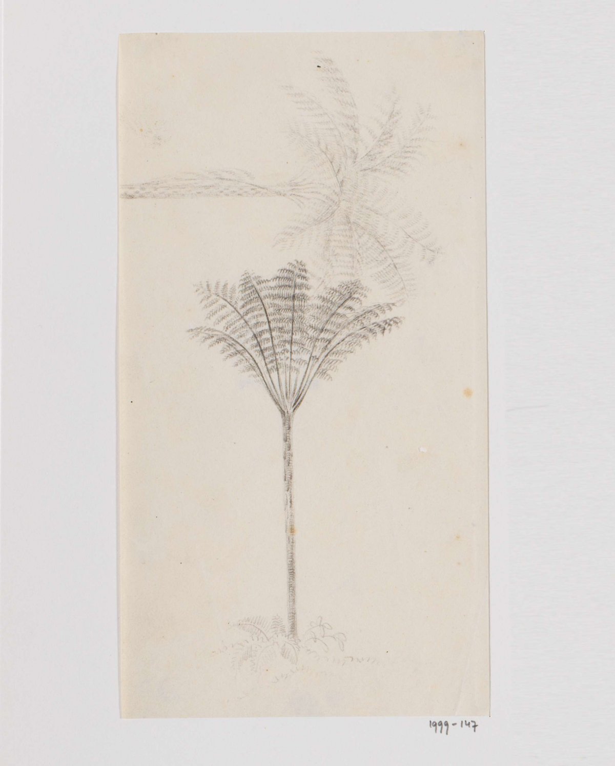 Boomvaren, Adrianus Johannes Bik, c. 1816 - c. 1846
