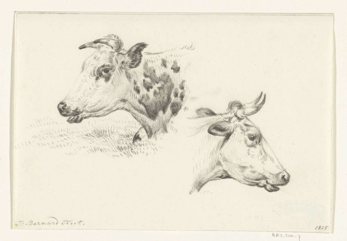 Two studies of the head of a cow, Jean Bernard, 1825