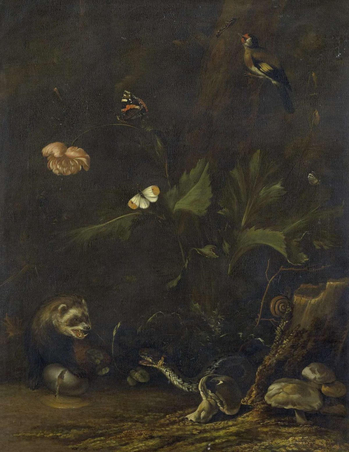 Animals and Plants, Anthonie van Borssom, 1650 - 1677