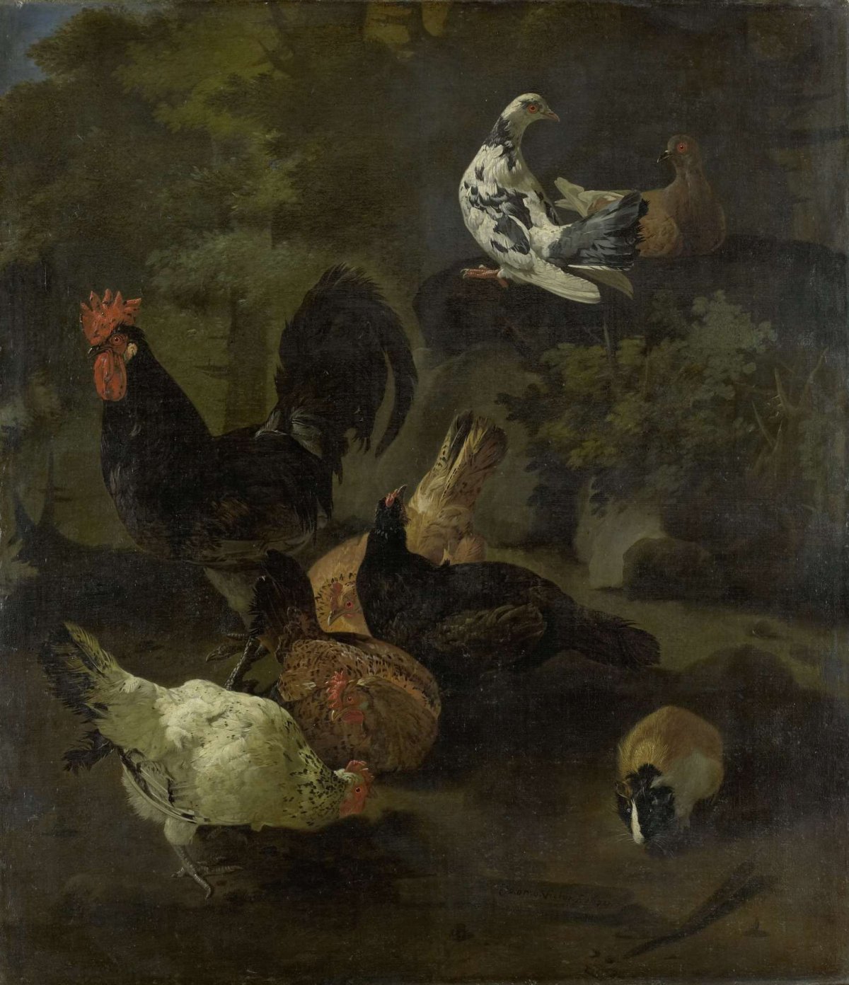 A Cock, Hens, Doves, and a Marmot, Jacomo Victors, 1672