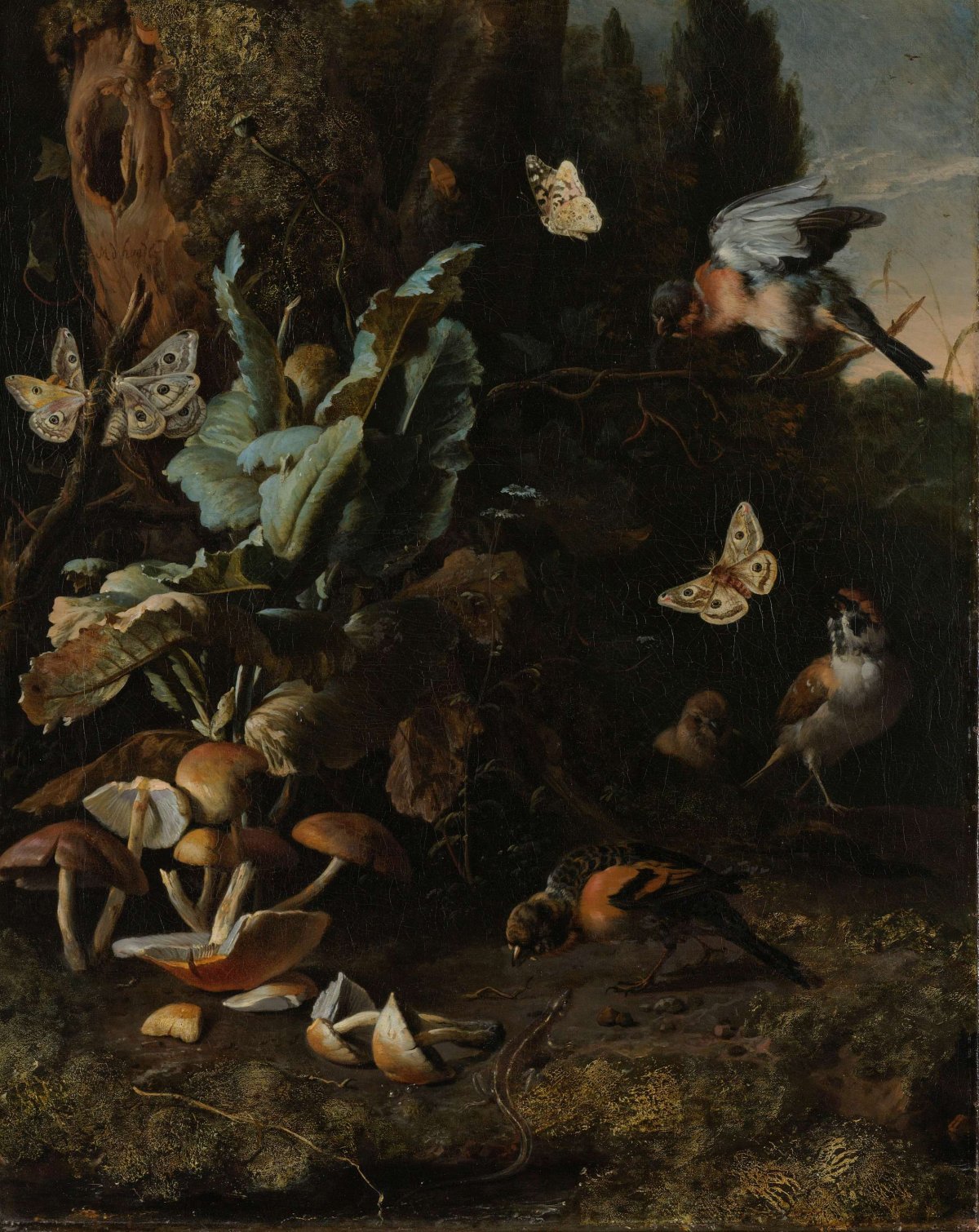 Forest Floor Still Life with Birds, Butterflies and a Lizard, Melchior d'Hondecoeter, c. 1668