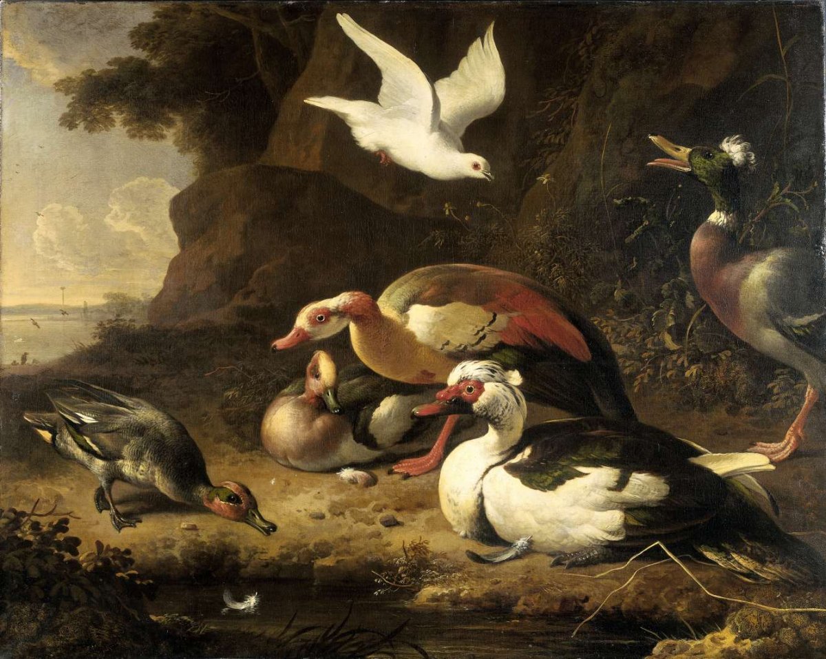 Ducks, Melchior d'Hondecoeter, c. 1675 - c. 1680