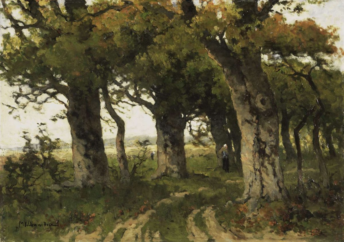 Lane of Oaks in Late Summer, Maria Bilders-van Bosse, 1880 - 1900
