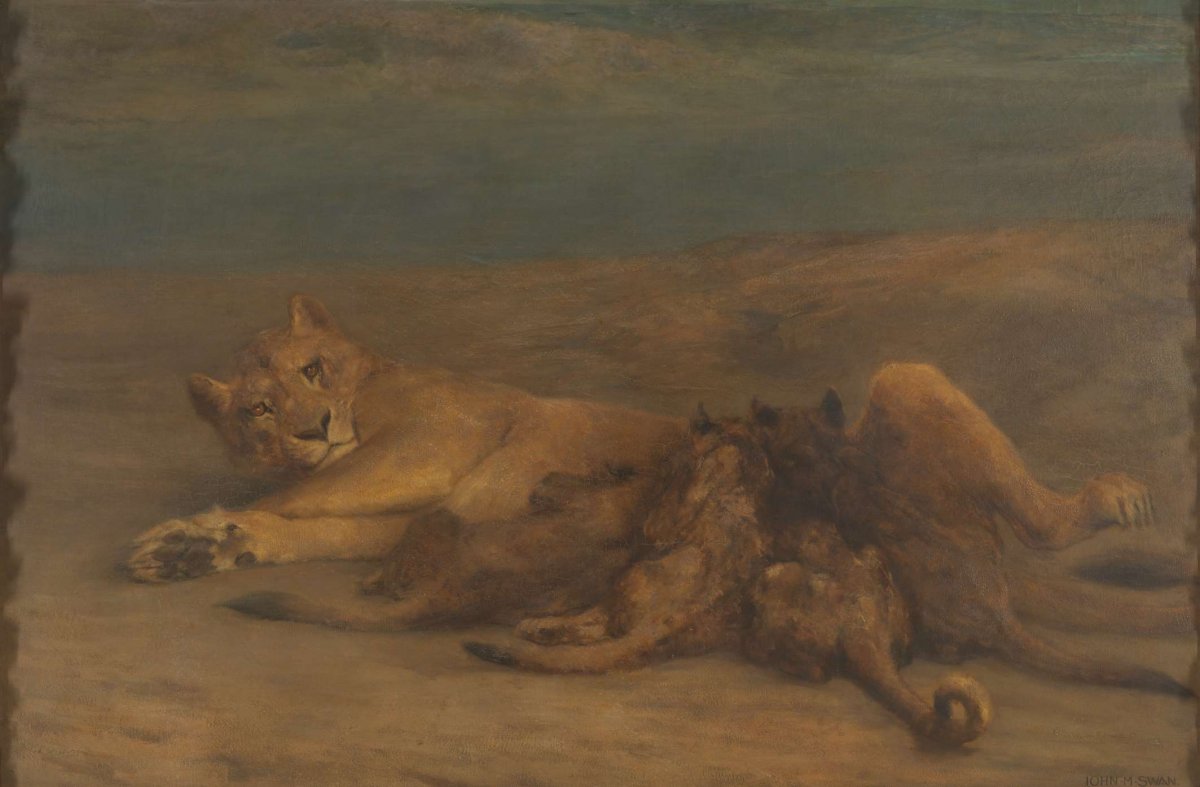A lioness with four nursing cubs, called 'Mother's Love', John Macallan Swan, 1870 - 1904