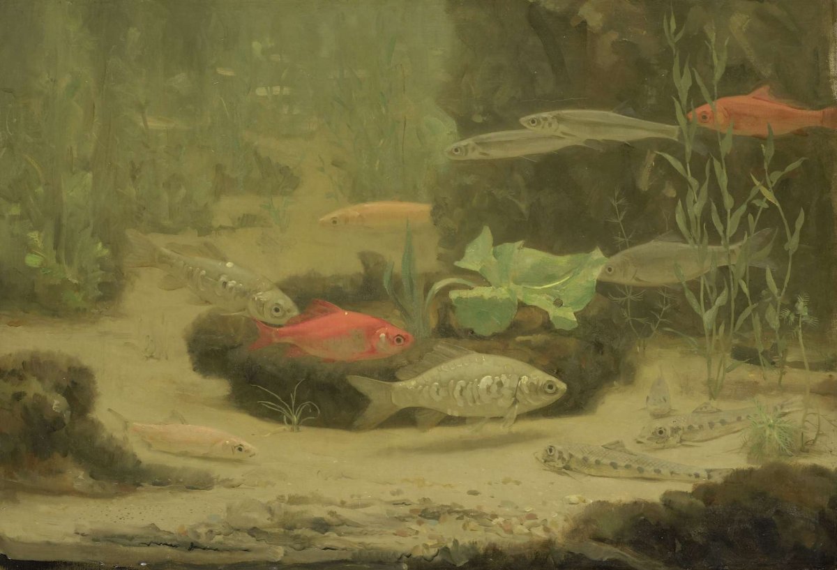 Gold- and Silverfish in an Aquarium, Gerrit Willem Dijsselhof, 1890 - 1922