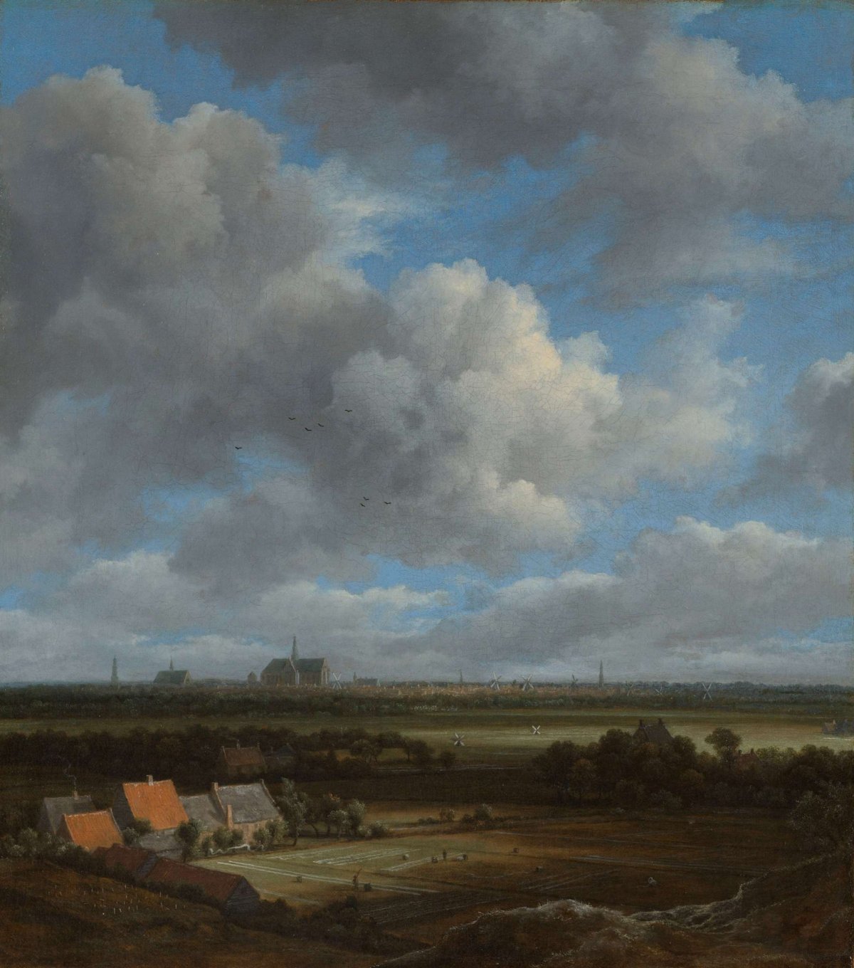 View of Haarlem from the Northwest, with the Bleaching Fields in the Foreground, Jacob Isaacksz van Ruisdael, c. 1650 - c. 1682