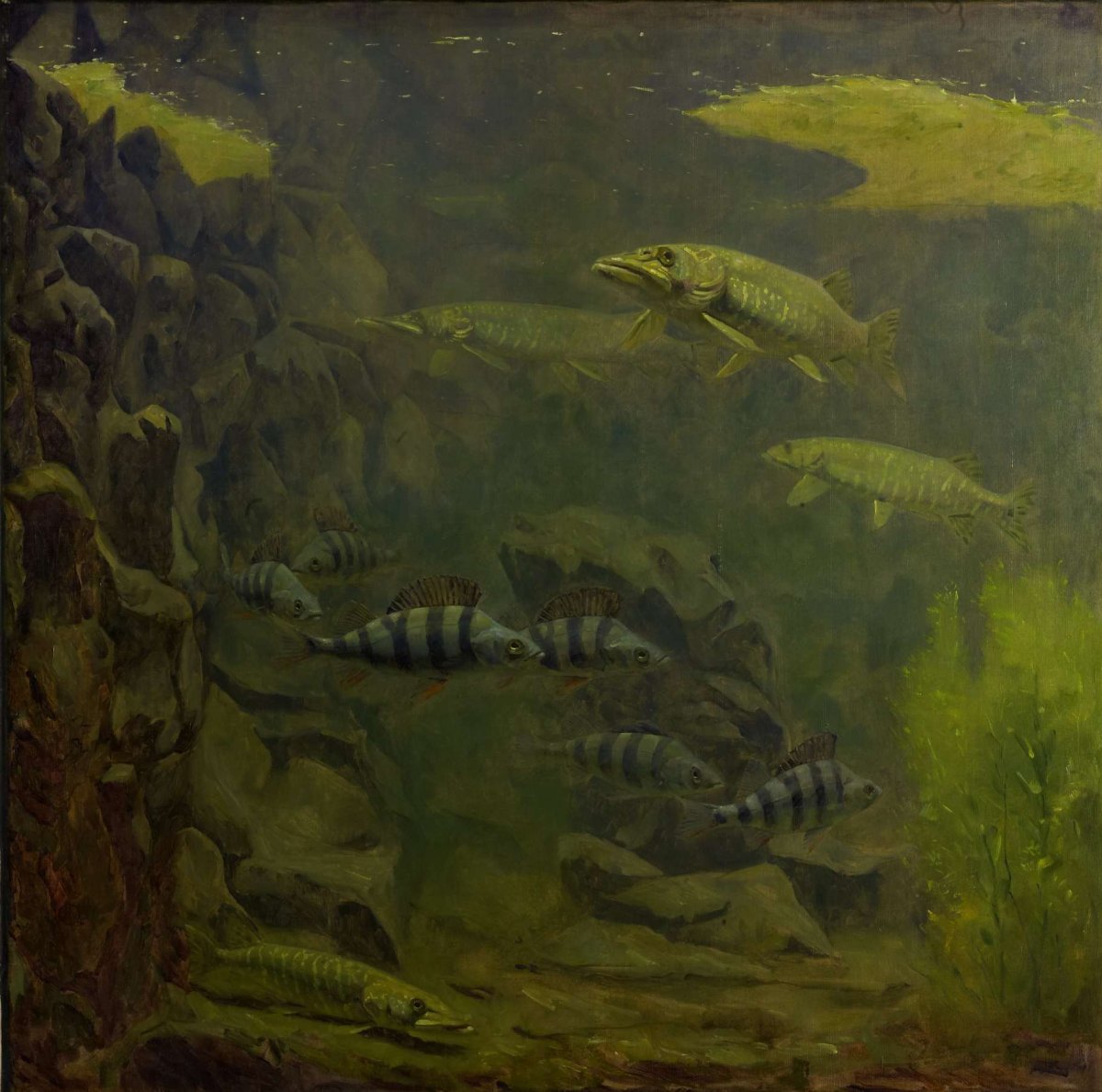Pike and Perch in an Aquarium, Gerrit Willem Dijsselhof, 1910 - 1920