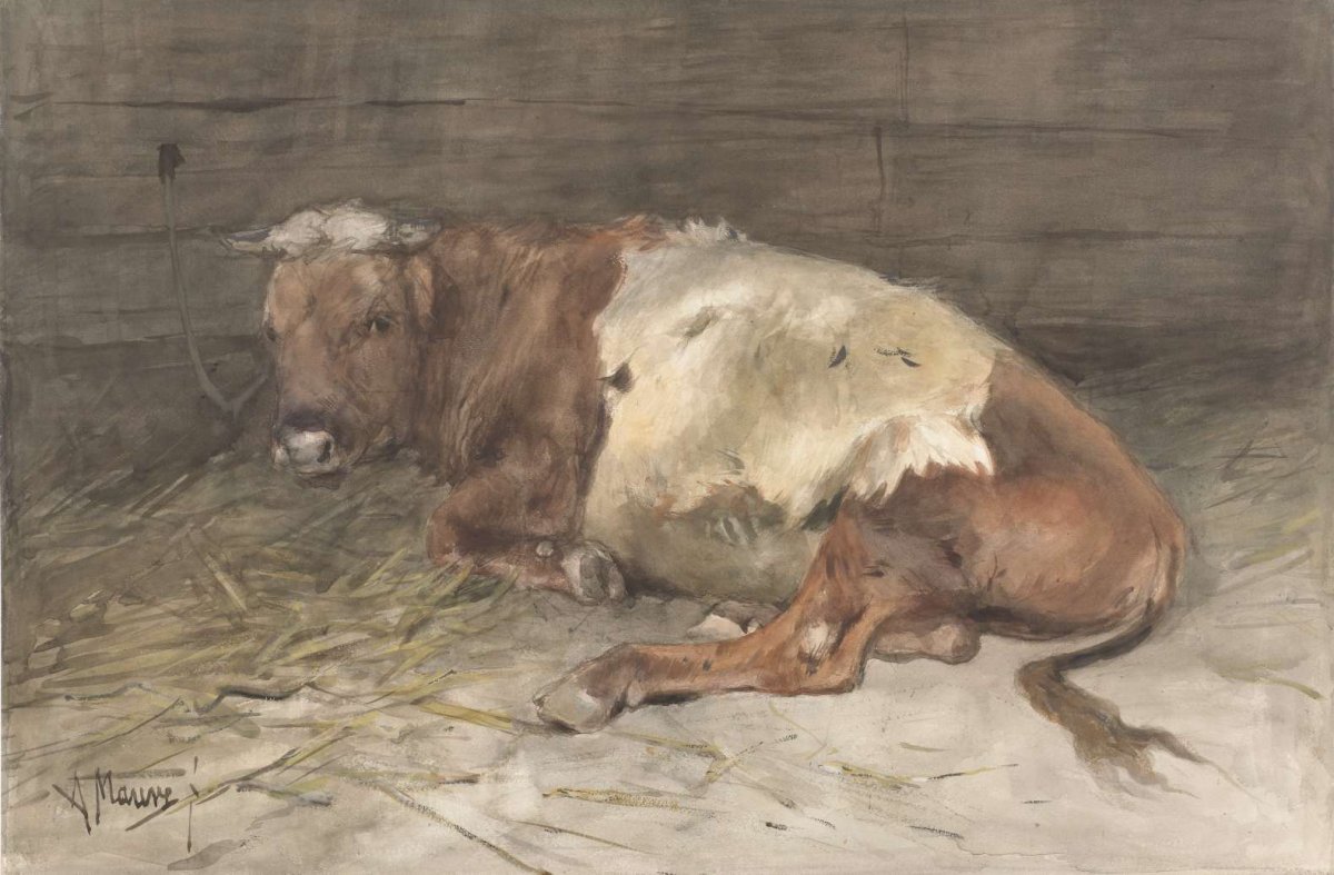 Liggende jonge stier, Anton Mauve, 1848 - 1888