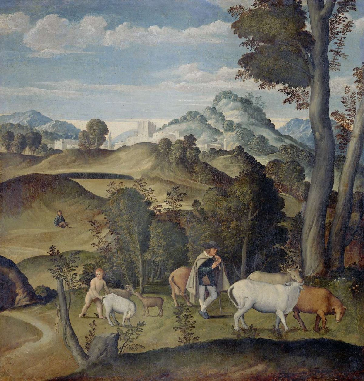 Young Mercury Stealing Cattle from the Herd of Apollo, Girolamo da Santacroce (ca.1480-1556), 1530 - 1550