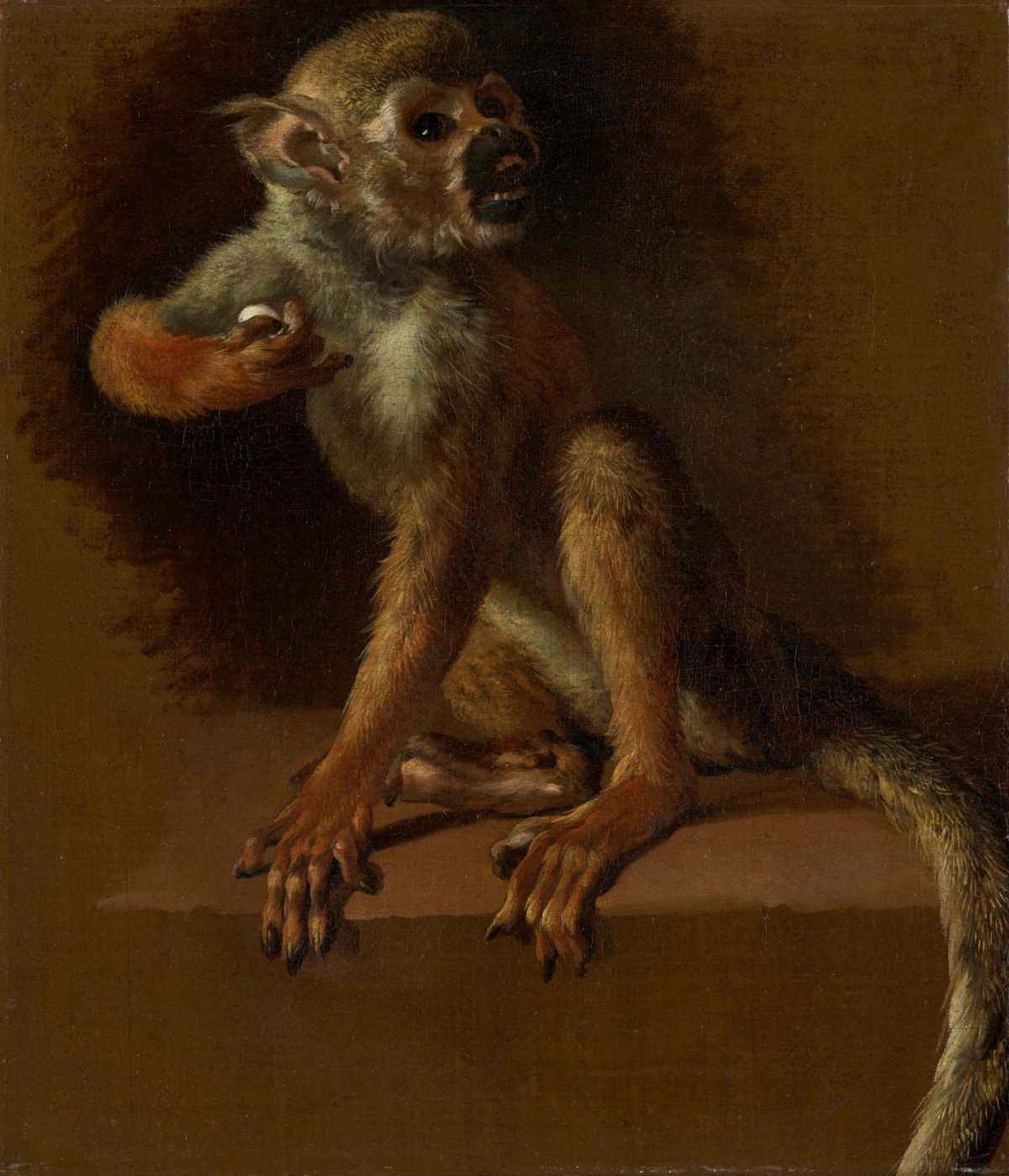 A Seated Monkey, Jan Weenix, before 1685